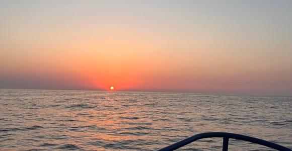 Rovinj: Islands Boat Tour with Swimming and Snorkeling