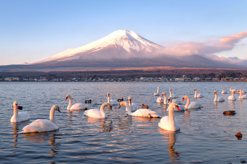 Tokyo: Mt. Fuji & Lake Kawaguchi Small Group Tour - 6 Spots Hotel Pickup Option