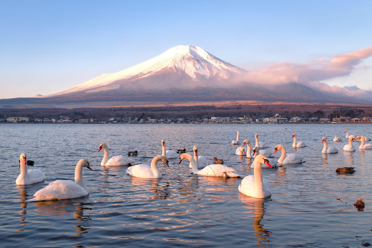 Tokyo: Mt. Fuji & Lake Kawaguchi Small Group Tour - 6 Spots Hotel Pickup Option
