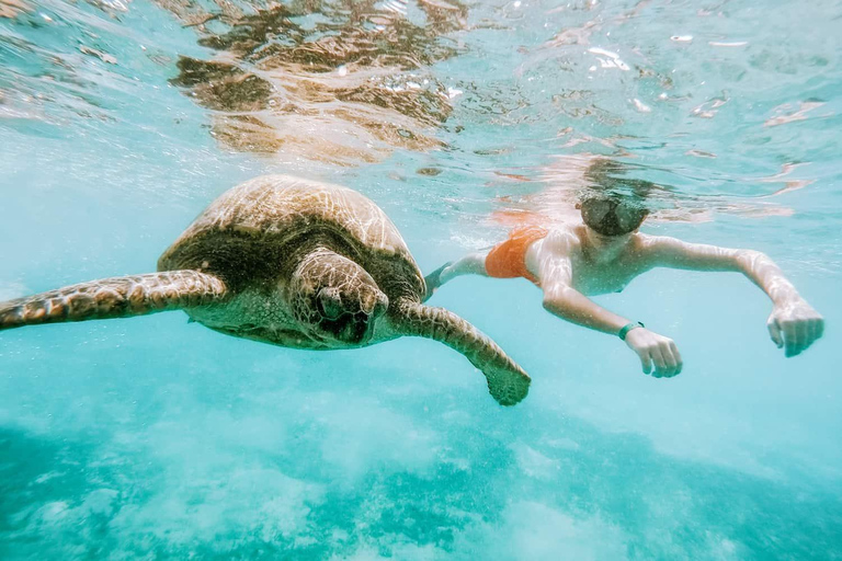 Colombo: 3-Day Trincomalee Beach & Whale Watching Tour