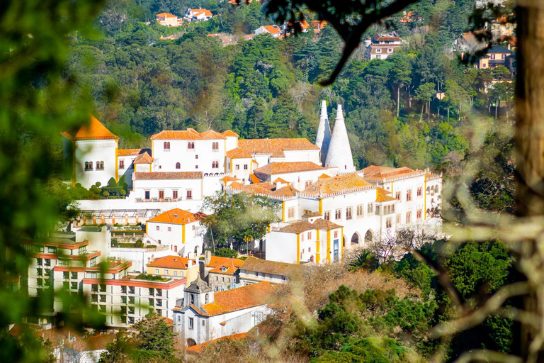 Sintra: Całodniowa prywatna wycieczka i opcja wstępu do Pałacu PenaWycieczka standardowa