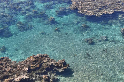 Vanuatu: Horseback Riding, Snorkeling, &amp; Village Tour