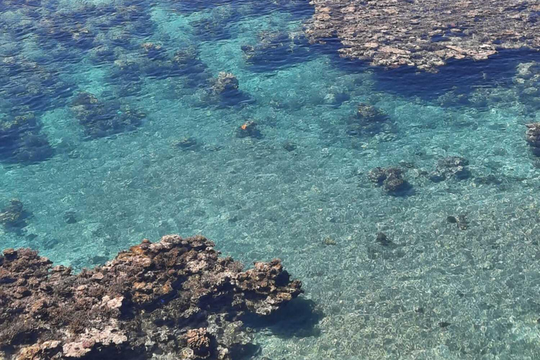 Vanuatu: Horseback Riding, Snorkeling, &amp; Village Tour