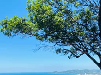 Phuket: Half-Day City Tour with Big Buddha and Old Town