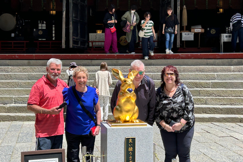 Visite privée de Nikko au départ et à destination de Tokyo jusqu&#039;à 12 personnes