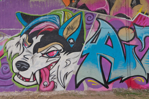 Saarbrücken: Street Art &amp; Food Tasting Tour