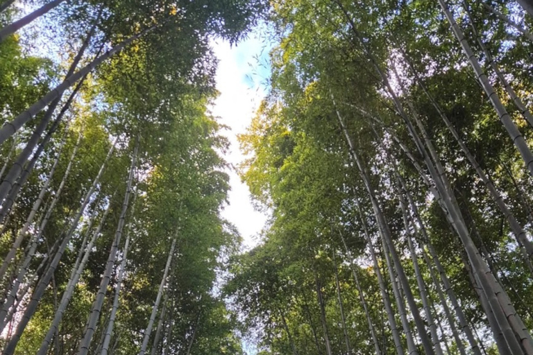 Kyoto Day Trip from Tokyo by Bullet Train Private Tour