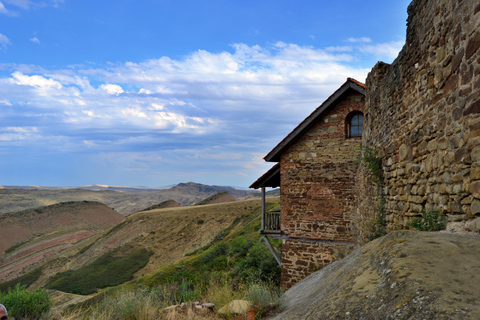 Z Tbilisi: Klasztor David Gareji i degustacja wina