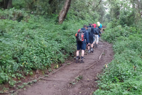 Day Trip to Mount Kilimanjaro with Sheengai Pride Safaris