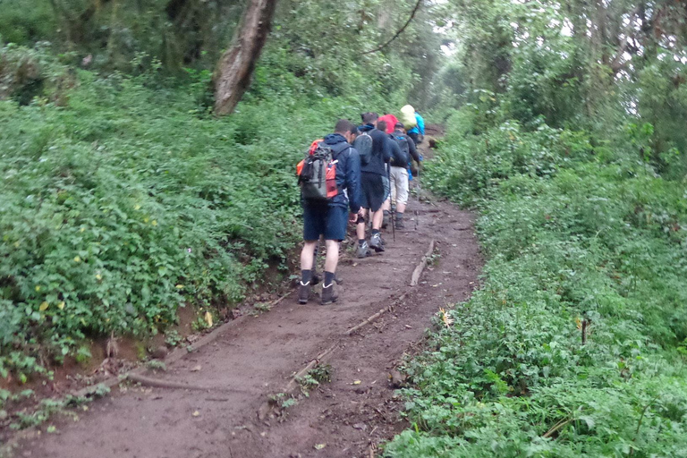 Day Trip to Mount Kilimanjaro with Sheengai Pride Safaris