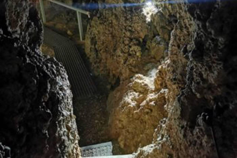 Brașov: Peles, Bran, Rasnov, & Valea Cetatii Day Trip