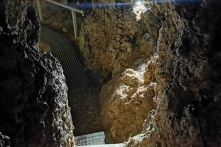 Brașov: Peles, Bran, Rasnov, & Valea Cetatii Day Trip