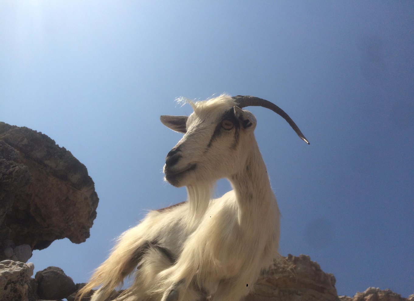 Havkajak på Rhodos "I piraternes fodspor"