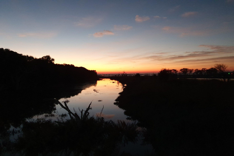 Erskine: Yoga-Wanderung bei Sonnenaufgang mit Morgentee