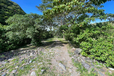 Boquete: Guided E-Bike Panoramic Tour