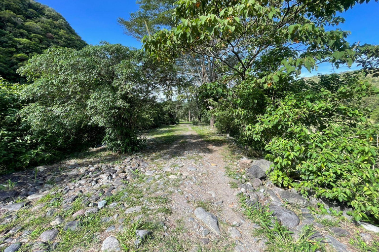 Boquete: Guided E-Bike Panoramic Tour