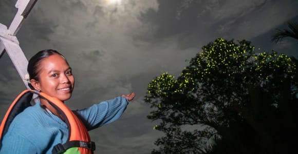 Private Firefly Watching Night Cruise on Bohol Abatan River