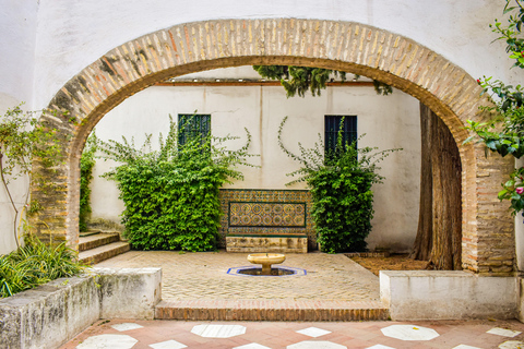 Seville: Royal Alcazar VIP Guided Tour with Exclusive Access Tour in English