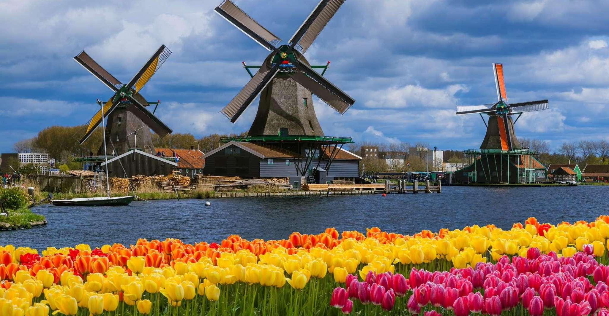 Amsterdam: Zaanse Schans, Cheese Tasting & Volendam Tour photo 2