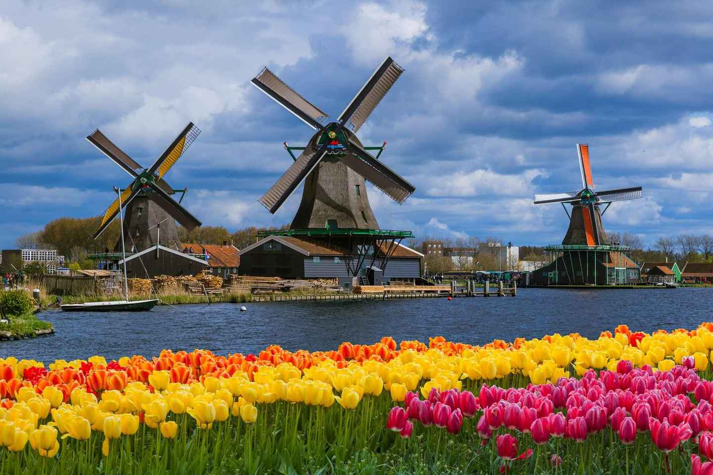 Amsterdam: Zaanse Schans, Cheese Tasting & Volendam Tour