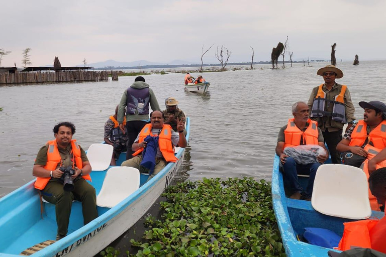 5 Days Kenya Private Safari |Masai Mara, L Nakueu & Naivasha