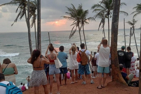 Hiriketiya: Mirissa Beach & Whale Watching Day Trip