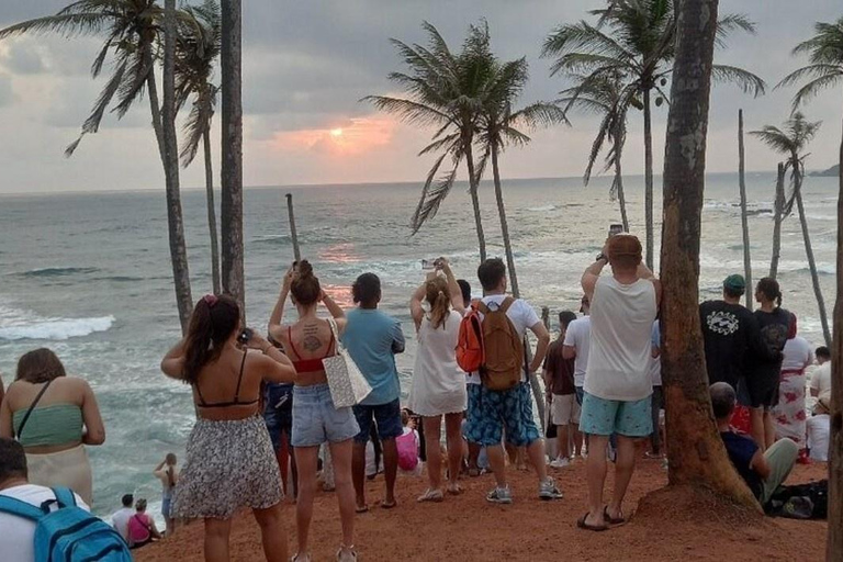 Hiriketiya: Mirissa Beach & Whale Watching Day Trip