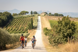 Cortona: Val di Chiana E-Bike Tour with Optional Wine Lunch