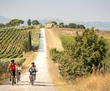 Cortona: Val di Chiana E-Bike Tour com almoço opcional com vinho