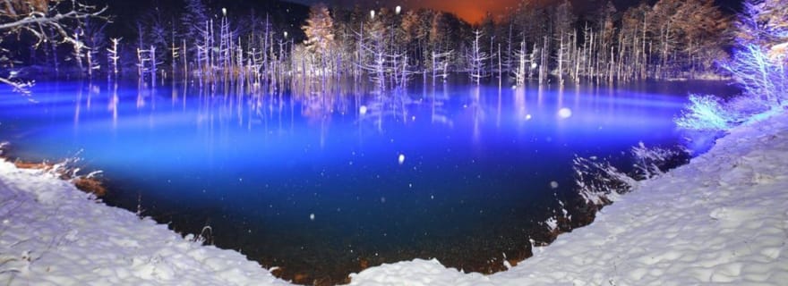 Excursion d'une journée au zoo d'Asahiyama et à l'étang bleu de Biei à Hokkaido