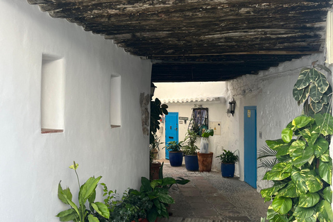 从马拉加出发：安达卢西亚12天1000公里自驾之旅从马拉加出发：安达卢西亚12天1000公里自驾游