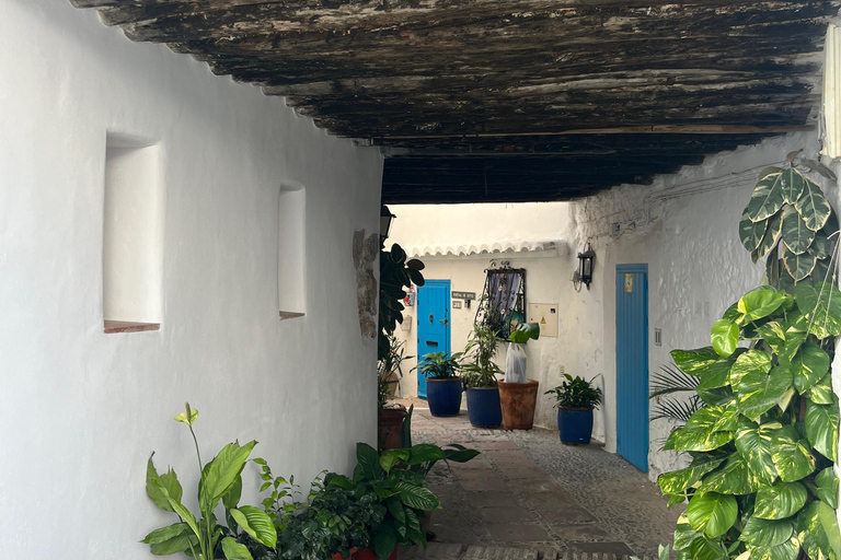 从马拉加出发：安达卢西亚12天1000公里自驾之旅从马拉加出发：安达卢西亚12天1000公里自驾游