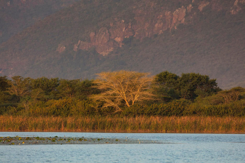 Hluhluwe-iMfolozi Park - Open Safari Vehicle Game Drives