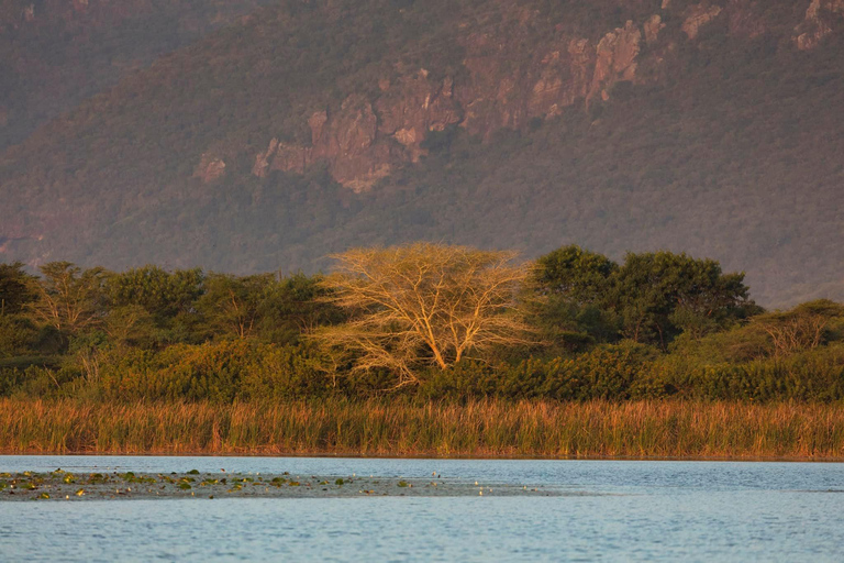 Hluhluwe-iMfolozi Park - Open Safari Vehicle Game Drives