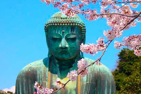 From Tokyo: Kamakura and Enoshima Full-Day Private Trip