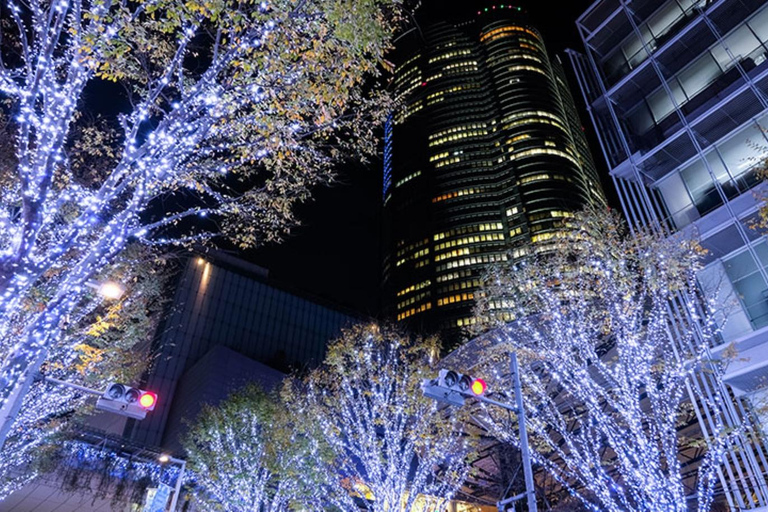 Tokyo: Open-Top Bus Tour with Christmas Illuminations X'mas Tokyo Winter Illuminations (End at Marunouchi)