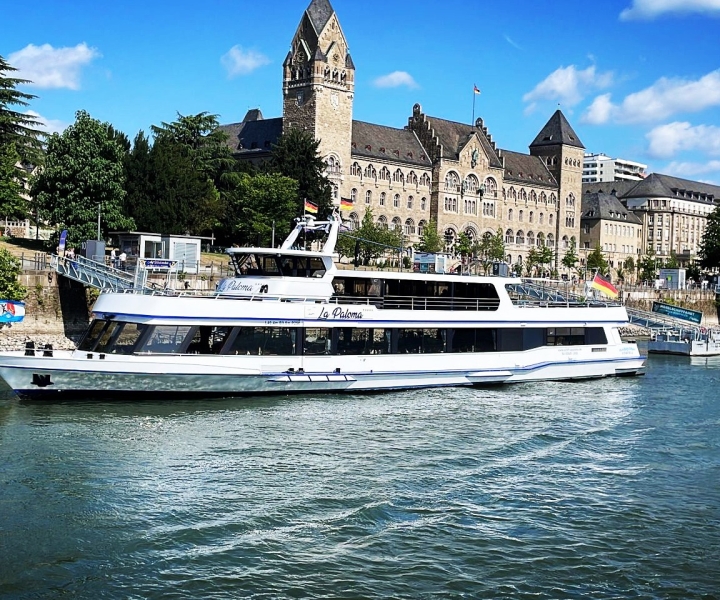 Koblenz: Slottsbåtcruise i øvre Midt-Rhindalen
