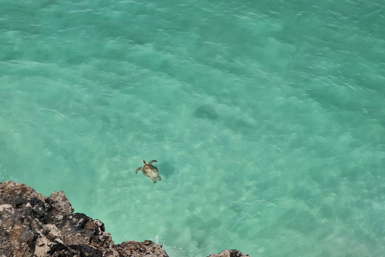 Taqah City Tour, Wadi Darbat, and East Dhofar Adventure