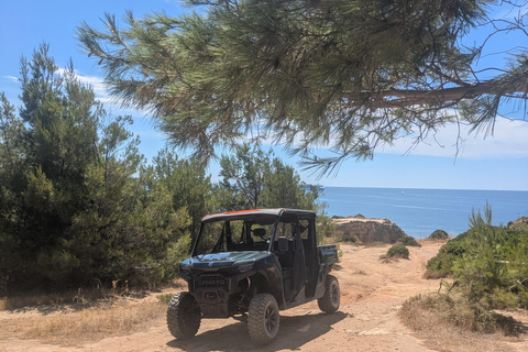 Guided buggy Passenger tour Alvor Ria wetlands
