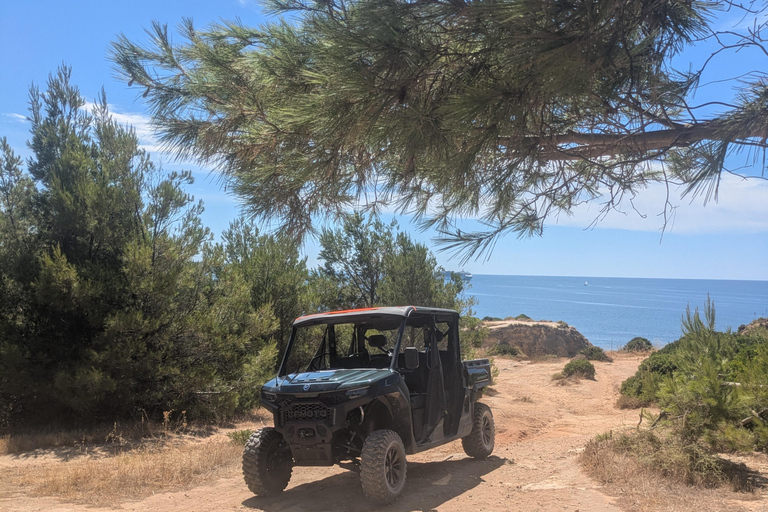 Guided buggy Passenger tour Alvor Ria wetlands