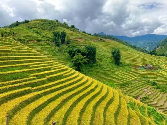 From Hanoi: 3-Day Sapa Trekking Tour and Bac Ha Market Tour