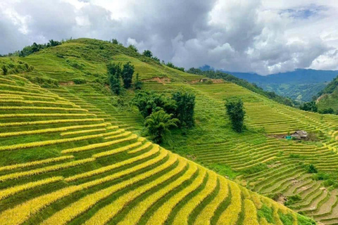 Hanoi: Sapa Excursión de 3 días Pueblo de Cat Cat, Fansipan y Moana