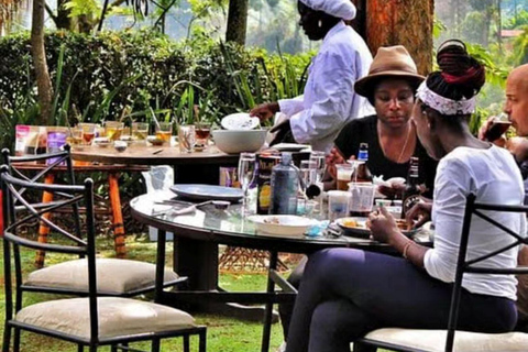 Taste the Rare: Kenya’s Purple Tea Discovery