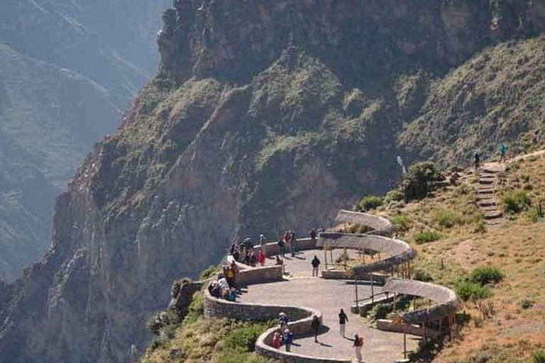 Viagem de 1 dia ao Canyon do Colca saindo de Arequipa Partida às 8h