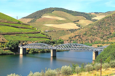 Douro Valley: Private Wine Tour with Lunch
