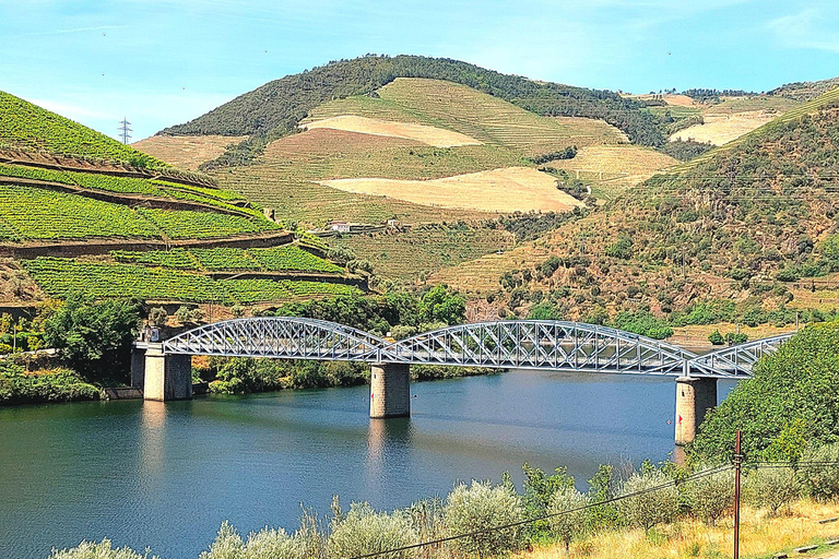 Douro Valley: Private Wine Tour with Lunch