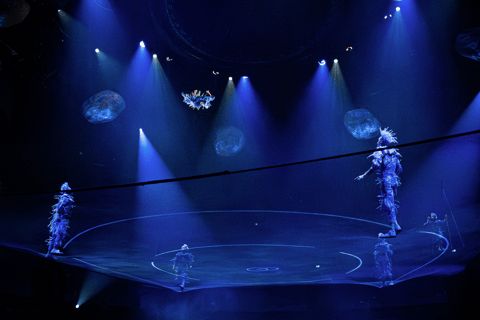 Cirque du Soleil LUDÕ — Vallarta Premium Balcony Experience: Show, Champagne, and Canapés