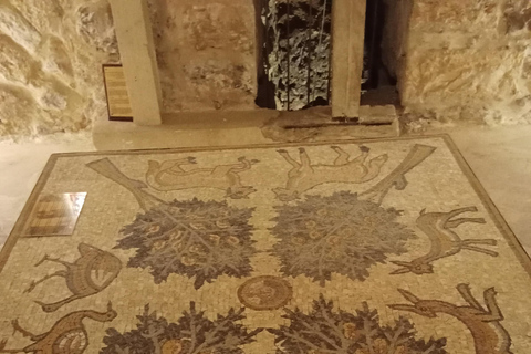 Amman: Dead Sea, Lot's Wife, & Blue Mosque Tour with Lunch Dead Sea only