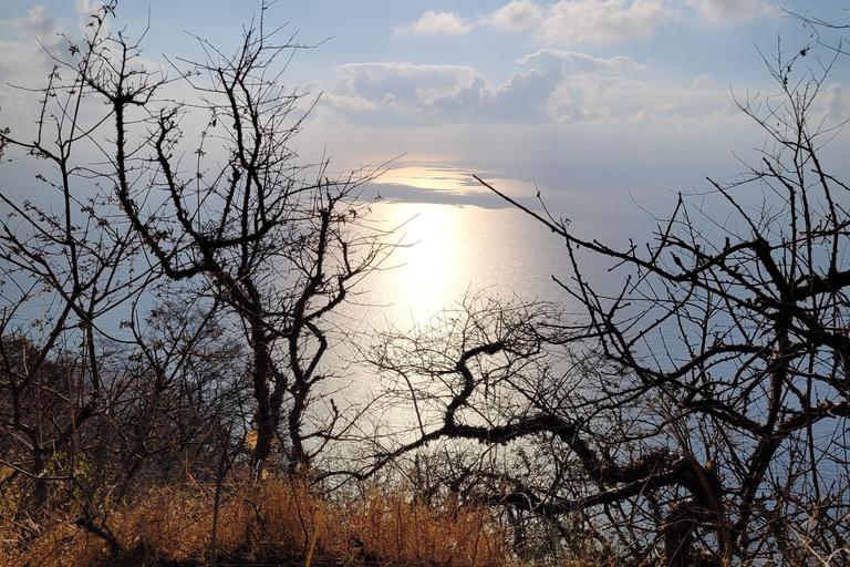 Salalah: Private Fazayah Beach Full-Day Tour 4x4 (1-4 guests)