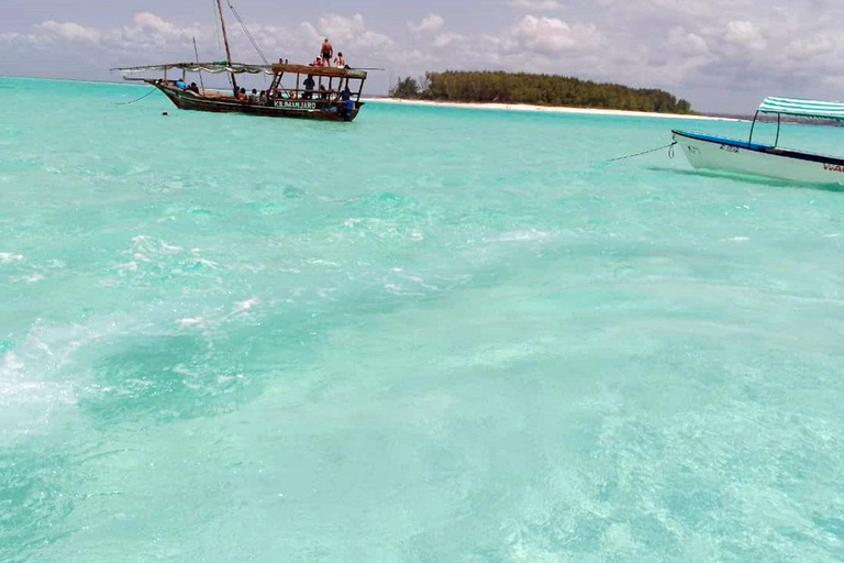 Zanzibar: Snorkeling sull&#039;isola di Mnemba e avventura con i delfini